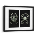 Cangrejos En Negro En 2 Paneles - Fab Funky | Cuadro decorativo de Canvas Lab