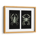 Cangrejos En Negro En 2 Paneles - Fab Funky | Cuadro decorativo de Canvas Lab