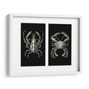 Cangrejos En Negro En 2 Paneles - Fab Funky | Cuadro decorativo de Canvas Lab
