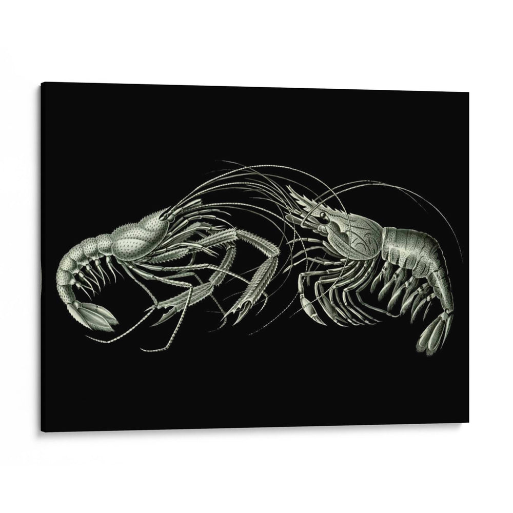 Camarones En Negro - Fab Funky | Cuadro decorativo de Canvas Lab