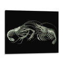 Camarones En Negro - Fab Funky | Cuadro decorativo de Canvas Lab