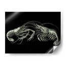 Camarones En Negro - Fab Funky | Cuadro decorativo de Canvas Lab