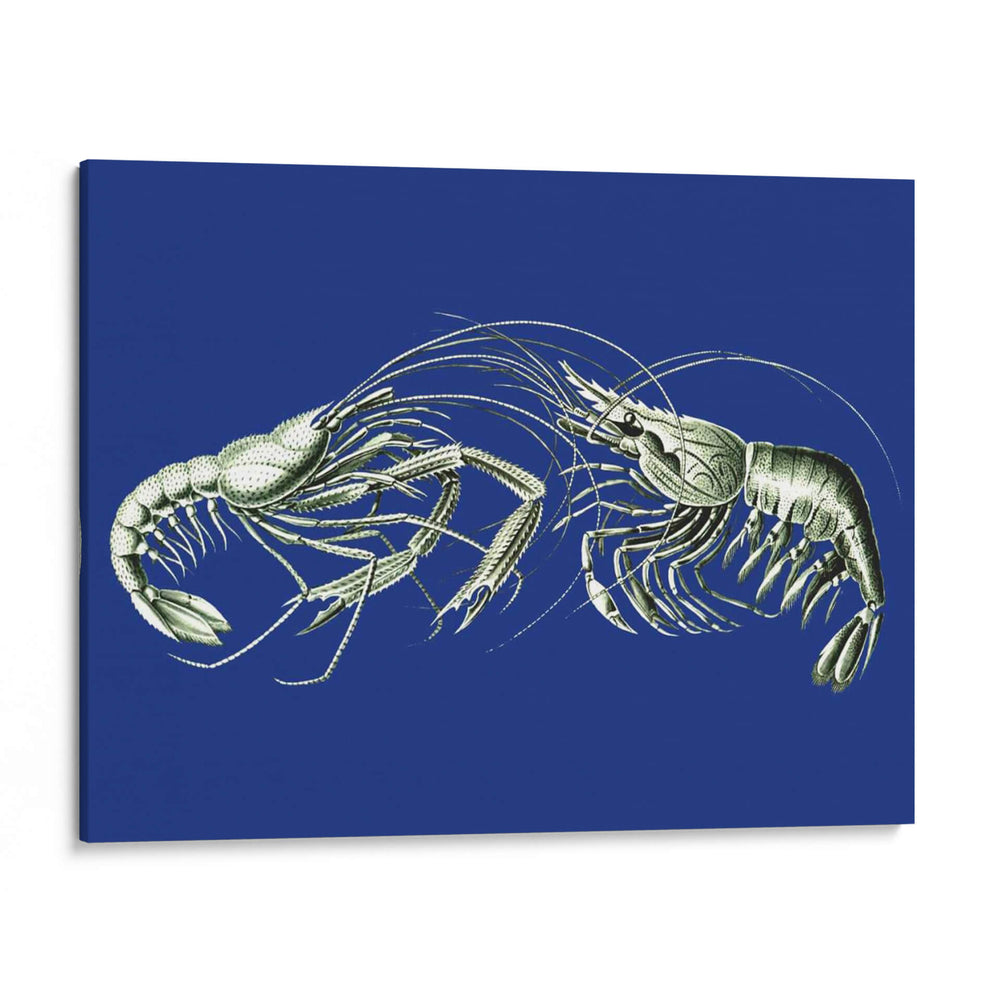 Camarones En Azul - Fab Funky | Cuadro decorativo de Canvas Lab
