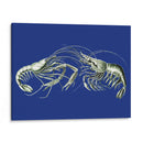 Camarones En Azul - Fab Funky | Cuadro decorativo de Canvas Lab