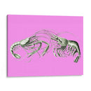Camarones En Rosa - Fab Funky | Cuadro decorativo de Canvas Lab