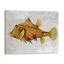 Pescado De Torreta De Oro - Fab Funky | Cuadro decorativo de Canvas Lab
