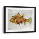 Pescado De Torreta De Oro - Fab Funky | Cuadro decorativo de Canvas Lab