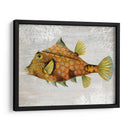 Pescado De Torreta De Oro - Fab Funky | Cuadro decorativo de Canvas Lab