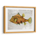 Pescado De Torreta De Oro - Fab Funky | Cuadro decorativo de Canvas Lab