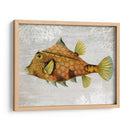 Pescado De Torreta De Oro - Fab Funky | Cuadro decorativo de Canvas Lab