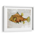 Pescado De Torreta De Oro - Fab Funky | Cuadro decorativo de Canvas Lab