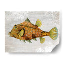Pescado De Torreta De Oro - Fab Funky | Cuadro decorativo de Canvas Lab