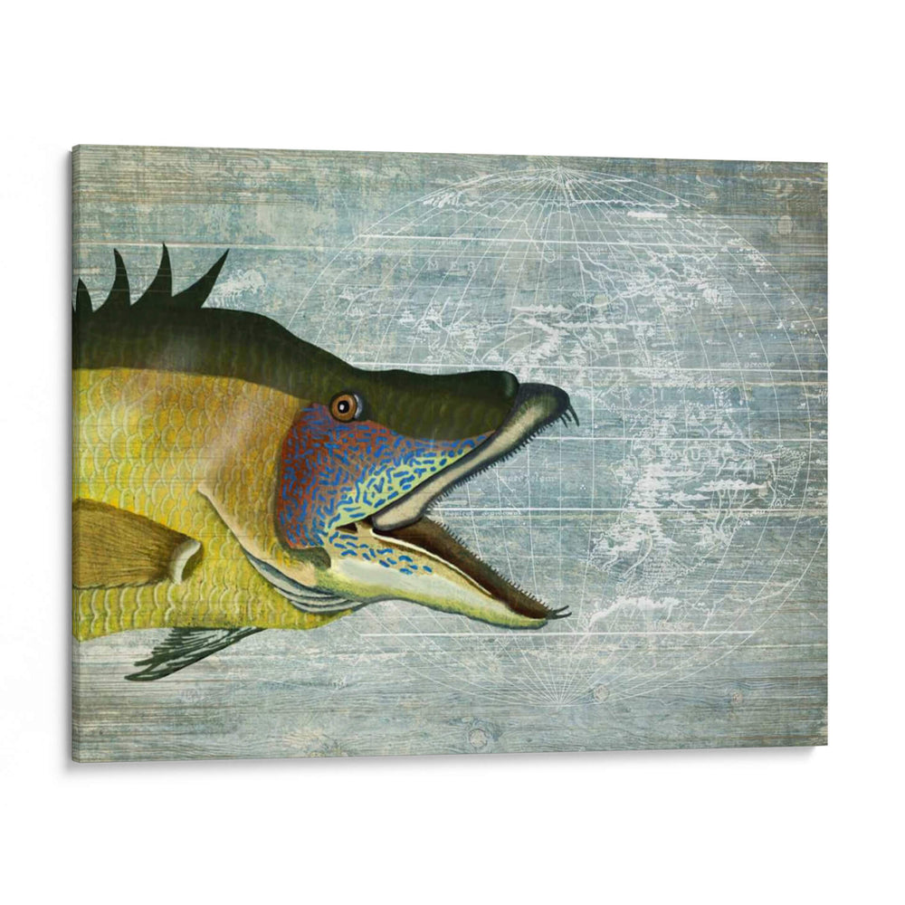 Impresión De Pescado De Cerdo En La Imagen Del Mapa Náutico - Fab Funky | Cuadro decorativo de Canvas Lab