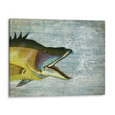 Impresión De Pescado De Cerdo En La Imagen Del Mapa Náutico - Fab Funky | Cuadro decorativo de Canvas Lab