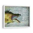 Impresión De Pescado De Cerdo En La Imagen Del Mapa Náutico - Fab Funky | Cuadro decorativo de Canvas Lab