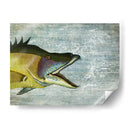 Impresión De Pescado De Cerdo En La Imagen Del Mapa Náutico - Fab Funky | Cuadro decorativo de Canvas Lab