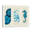 Tres Panel De Panel De Mar Eurchin De Mar Y Corte De Sea En Azul - Fab Funky | Cuadro decorativo de Canvas Lab