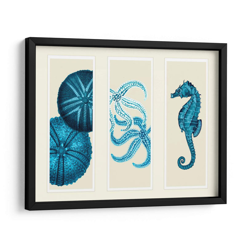 Tres Panel De Panel De Mar Eurchin De Mar Y Corte De Sea En Azul - Fab Funky | Cuadro decorativo de Canvas Lab