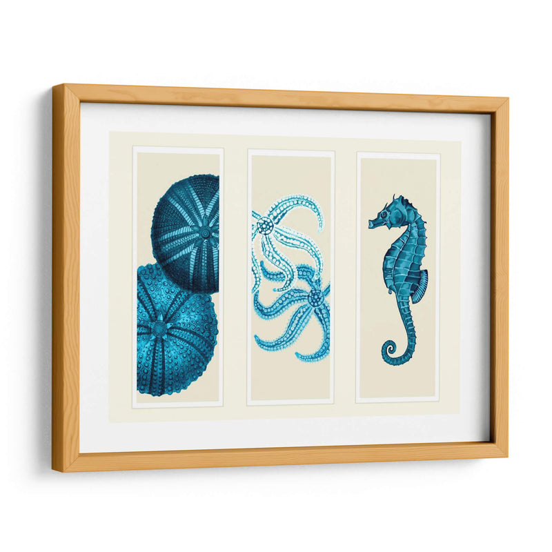 Tres Panel De Panel De Mar Eurchin De Mar Y Corte De Sea En Azul - Fab Funky | Cuadro decorativo de Canvas Lab