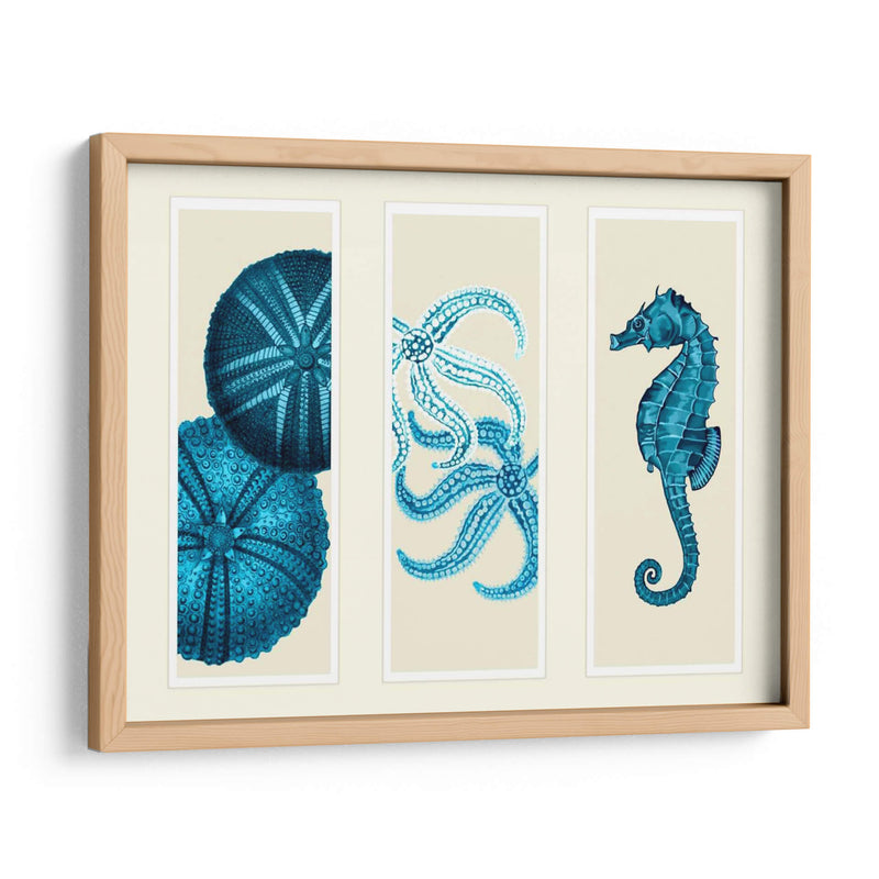 Tres Panel De Panel De Mar Eurchin De Mar Y Corte De Sea En Azul - Fab Funky | Cuadro decorativo de Canvas Lab