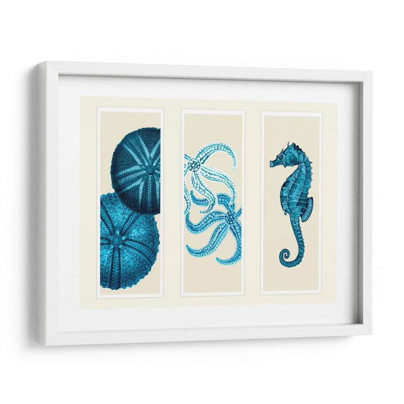 Tres Panel De Panel De Mar Eurchin De Mar Y Corte De Sea En Azul - Fab Funky | Cuadro decorativo de Canvas Lab