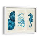 Tres Panel De Panel De Mar Eurchin De Mar Y Corte De Sea En Azul - Fab Funky | Cuadro decorativo de Canvas Lab