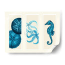 Tres Panel De Panel De Mar Eurchin De Mar Y Corte De Sea En Azul - Fab Funky | Cuadro decorativo de Canvas Lab