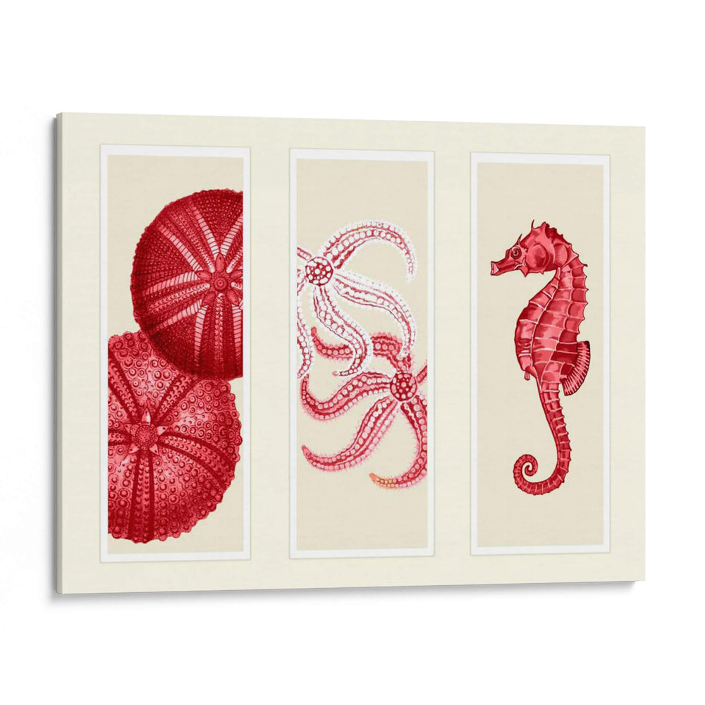 Tres Paneles De Estrella De Mar Erizo De Mar Y Caballito De Mar En Rojo - Fab Funky | Cuadro decorativo de Canvas Lab