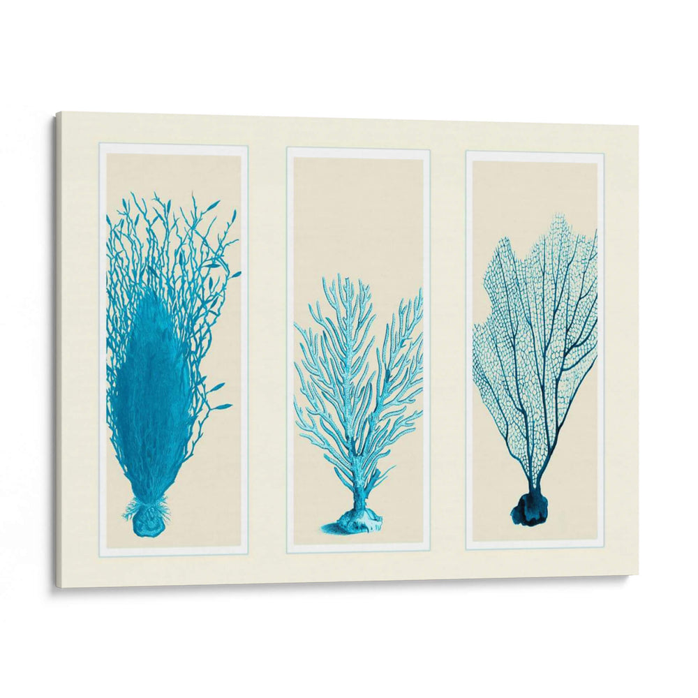 Corales Azules En 3 Paneles - Fab Funky | Cuadro decorativo de Canvas Lab