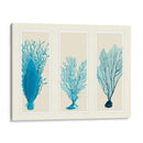 Corales Azules En 3 Paneles - Fab Funky | Cuadro decorativo de Canvas Lab