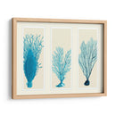 Corales Azules En 3 Paneles - Fab Funky | Cuadro decorativo de Canvas Lab