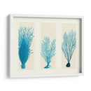 Corales Azules En 3 Paneles - Fab Funky | Cuadro decorativo de Canvas Lab