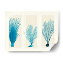 Corales Azules En 3 Paneles - Fab Funky | Cuadro decorativo de Canvas Lab