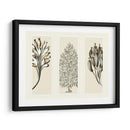 Esponjas De Mar Trío En 3 Paneles - Fab Funky | Cuadro decorativo de Canvas Lab