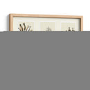 Esponjas De Mar Trío En 3 Paneles - Fab Funky | Cuadro decorativo de Canvas Lab