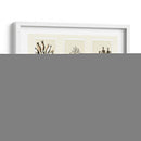 Esponjas De Mar Trío En 3 Paneles - Fab Funky | Cuadro decorativo de Canvas Lab