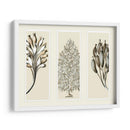 Esponjas De Mar Trío En 3 Paneles - Fab Funky | Cuadro decorativo de Canvas Lab