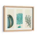 Corales Azules Y Erizos De Mar En 3 Paneles. - Fab Funky | Cuadro decorativo de Canvas Lab