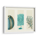 Corales Azules Y Erizos De Mar En 3 Paneles. - Fab Funky | Cuadro decorativo de Canvas Lab