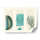 Corales Azules Y Erizos De Mar En 3 Paneles. - Fab Funky | Cuadro decorativo de Canvas Lab