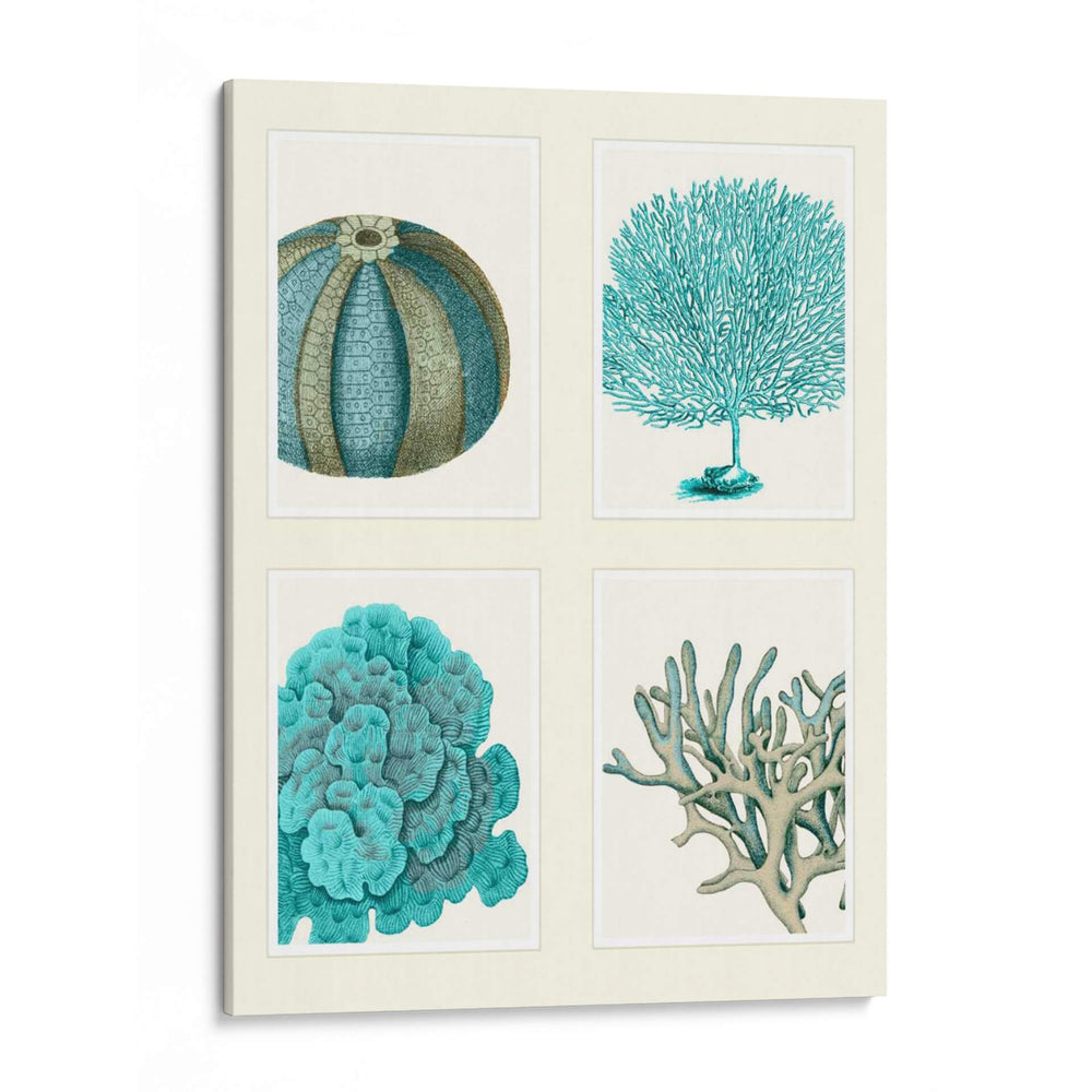 Corales Azules Y Erizos De Mar En 4 Paneles. - Fab Funky | Cuadro decorativo de Canvas Lab