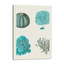 Corales Azules Y Erizos De Mar En 4 Paneles. - Fab Funky | Cuadro decorativo de Canvas Lab