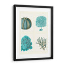 Corales Azules Y Erizos De Mar En 4 Paneles. - Fab Funky | Cuadro decorativo de Canvas Lab
