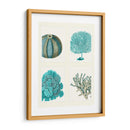 Corales Azules Y Erizos De Mar En 4 Paneles. - Fab Funky | Cuadro decorativo de Canvas Lab