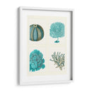 Corales Azules Y Erizos De Mar En 4 Paneles. - Fab Funky | Cuadro decorativo de Canvas Lab