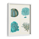 Corales Azules Y Erizos De Mar En 4 Paneles. - Fab Funky | Cuadro decorativo de Canvas Lab