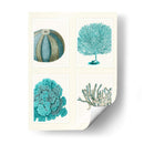 Corales Azules Y Erizos De Mar En 4 Paneles. - Fab Funky | Cuadro decorativo de Canvas Lab