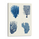 Impresión De Coral Azul En 4 Paneles - Fab Funky | Cuadro decorativo de Canvas Lab