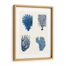 Impresión De Coral Azul En 4 Paneles - Fab Funky | Cuadro decorativo de Canvas Lab