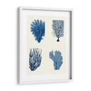 Impresión De Coral Azul En 4 Paneles - Fab Funky | Cuadro decorativo de Canvas Lab